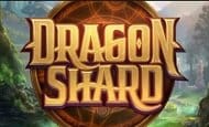 dragon shard slot