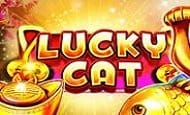 lucky cat slot