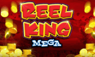 reel king mega