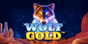 wolf gold