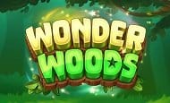 wonder woods slot